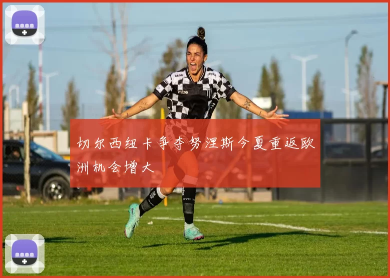 切尔西纽卡争夺努涅斯今夏重返欧洲机会增大