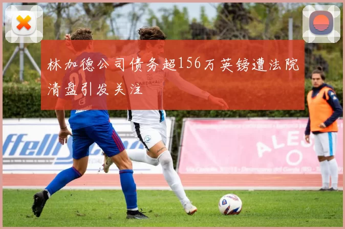 林加德公司债务超156万英镑遭法院清盘引发关注