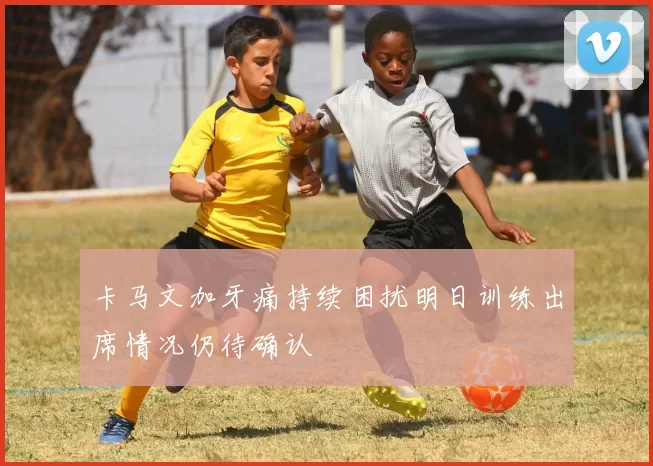 卡马文加牙痛持续困扰明日训练出席情况仍待确认