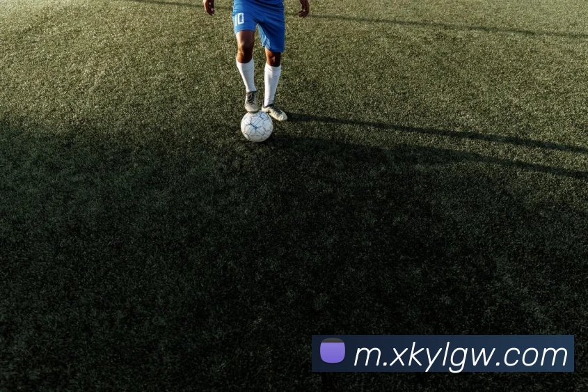 星空娱乐官网平台生态图